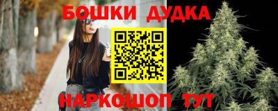 дживик Дубна