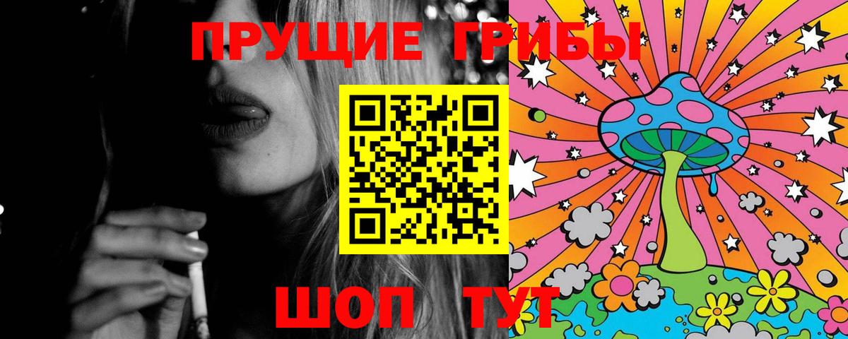 где продают наркотики  Вход с VPN  Назрань  Псилоцибиновые грибы Cubensis 